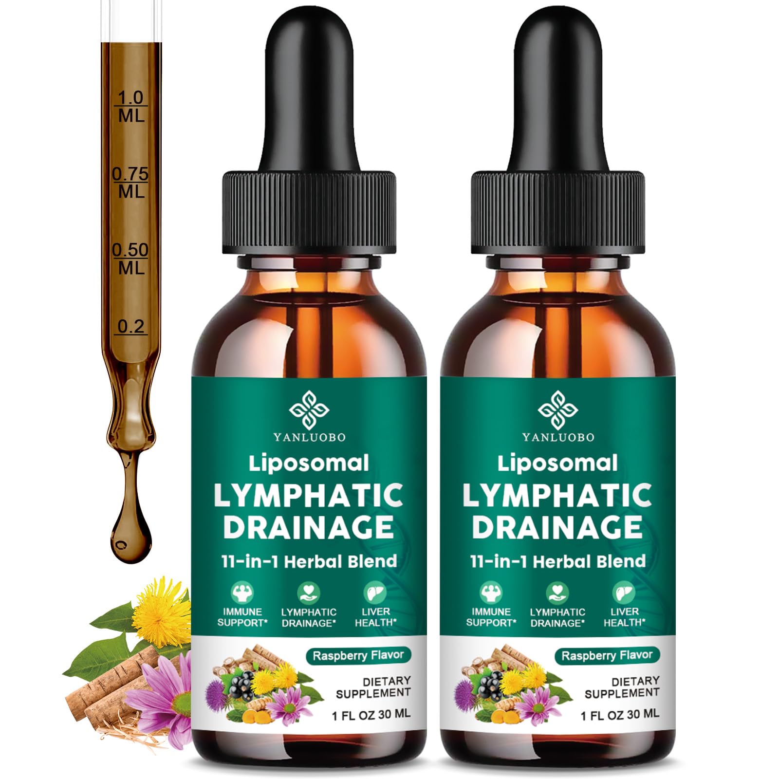 Lymphatic Drainage Drops - 11 in 1 Lymphatic Supplement for Immune, Lymph System & Liver Detox - with Echinacea, Horse Chestnut, Dandelion, Elderberry & Burdock - Raspberry Flavor, Vegan, 2 Fl Oz - Maple Wellness Supplements