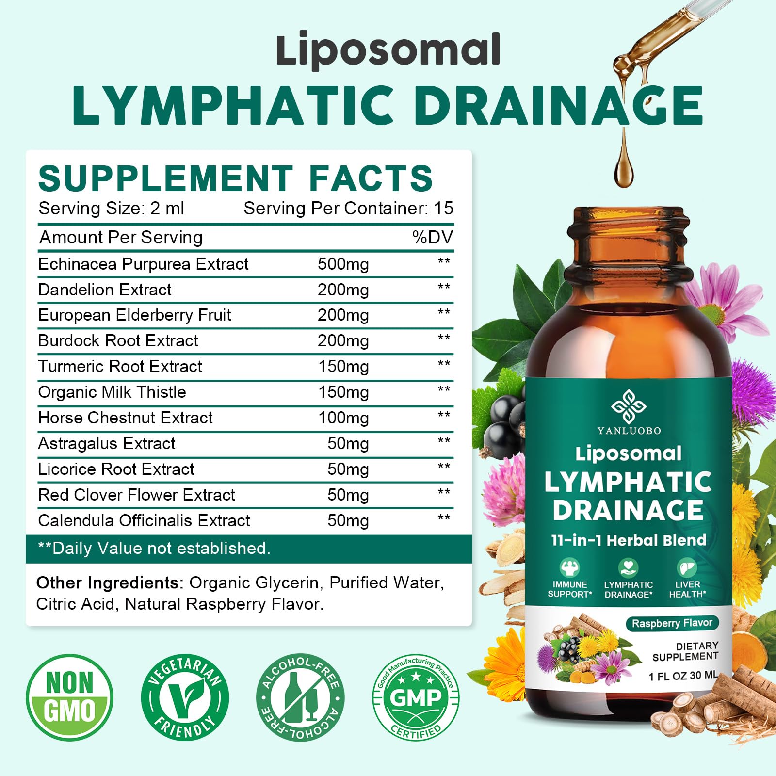 Lymphatic Drainage Drops - 11 in 1 Lymphatic Supplement for Immune, Lymph System & Liver Detox - with Echinacea, Horse Chestnut, Dandelion, Elderberry & Burdock - Raspberry Flavor, Vegan, 2 Fl Oz - Maple Wellness Supplements