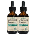 Lymphatic Drainage Drops, 2000mg Herbal Blend with Elderberry & Echinacea Dandelion，– Supports Lymphatic Drainage, Immune System & Detox 2 fl oz (2pcs) - Maple Wellness Supplements