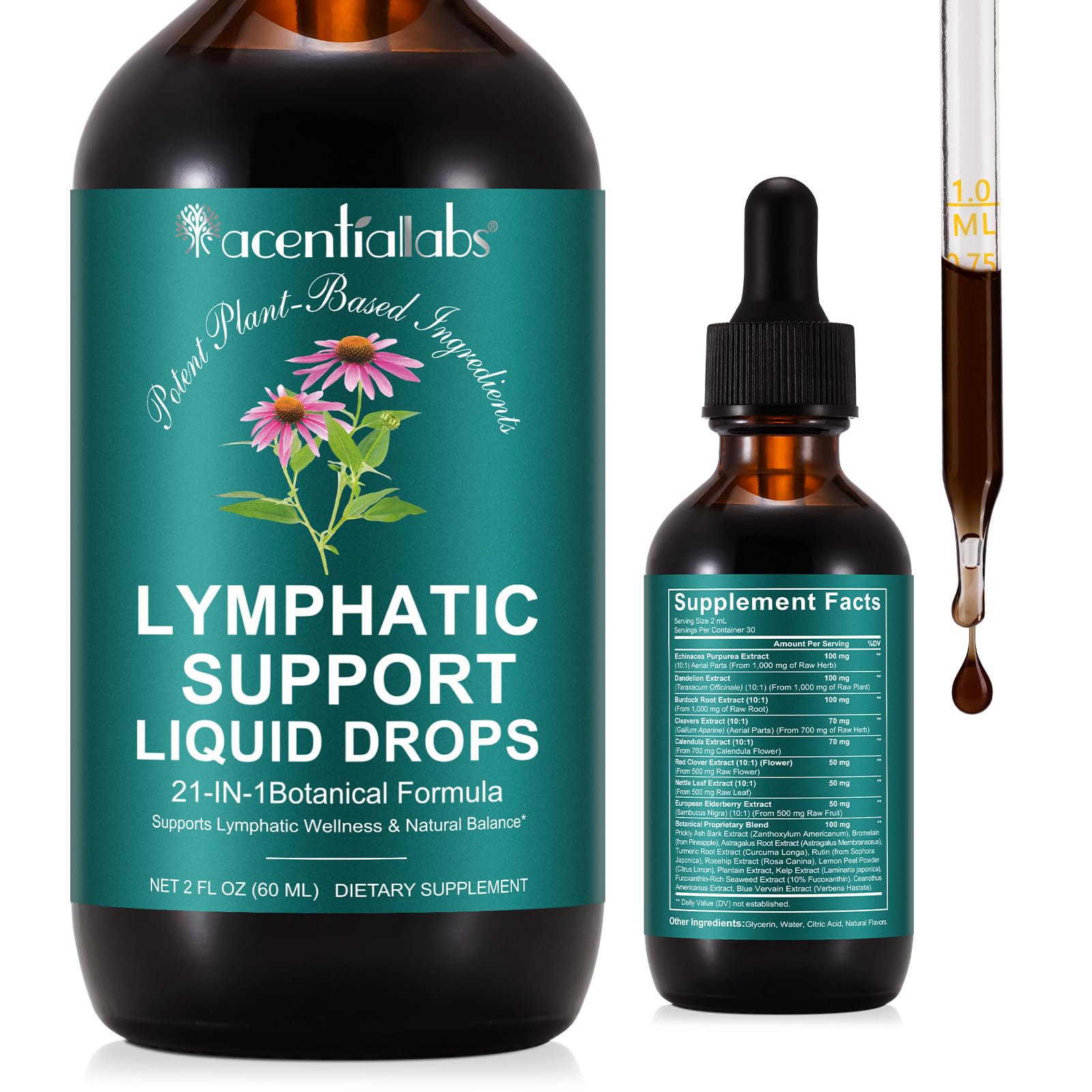 Lymphatic Drainage Drops | 21-in-1 Lymph System Support Supplement | Lymph Cleanse with Turmeric, Echinacea, Elderberry & Dandelion | for Women & Men, 2 fl oz - Maple Wellness Supplements