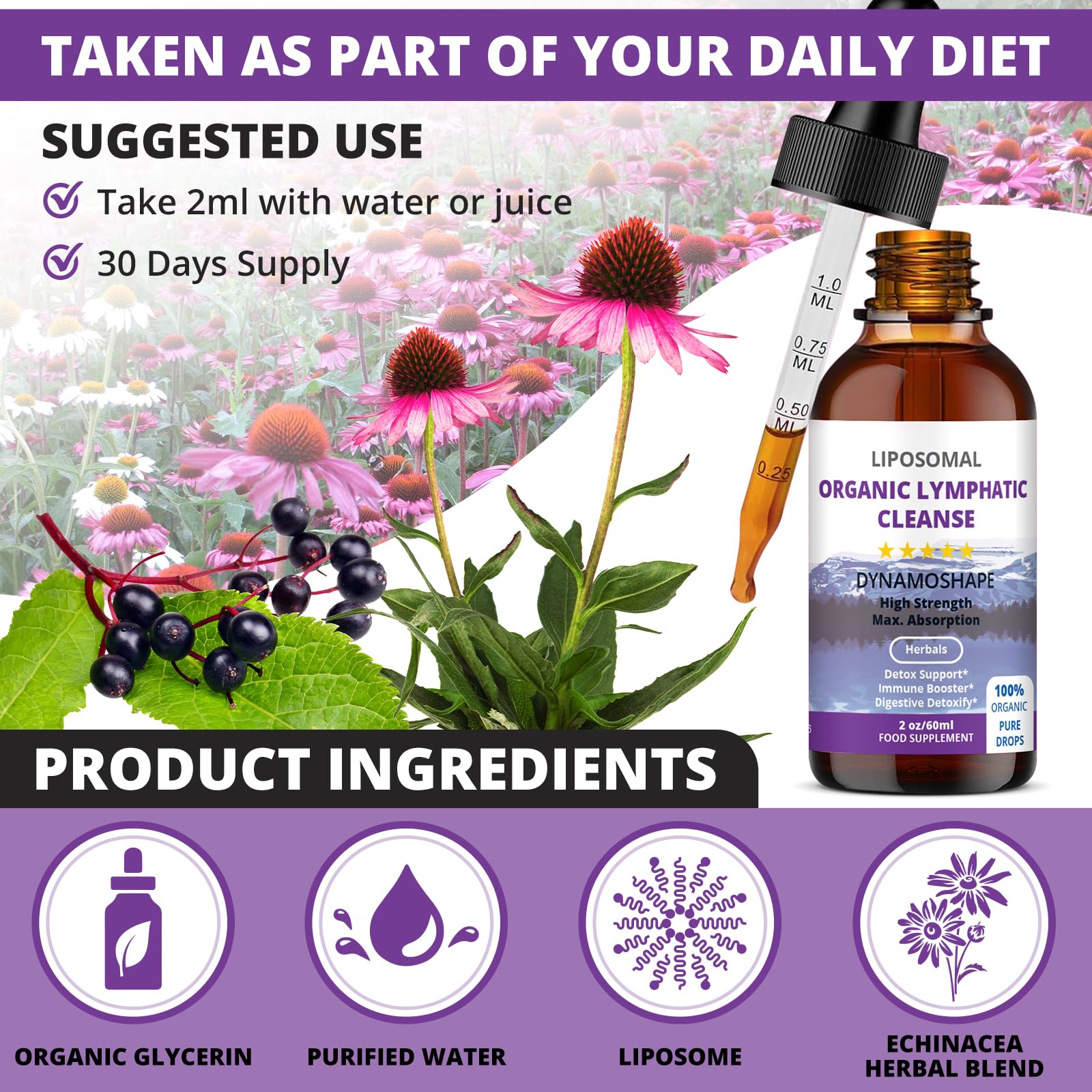 Lymphatic Drainage Drops | Lymphatic Drainage | Organic Lymphatic Drainage for Immune Support | Lymphatic Support Supplement | Vegan | Non-GMO | Gluten Free | 1 Fl Oz… - Maple Wellness Supplements