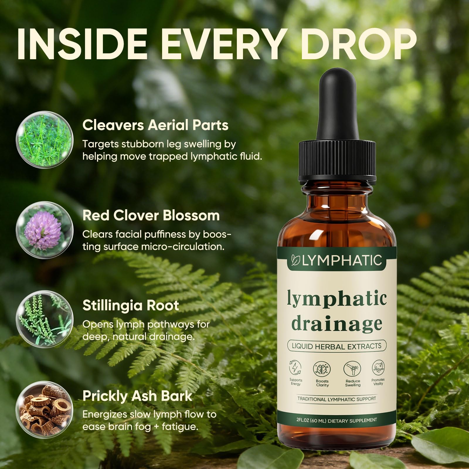 Lymphatic Drainage Drops, Lymphatic System Support, Immune System, Natural Herbal Blends, Vegan & Non-GMO (1) - Maple Wellness Supplements
