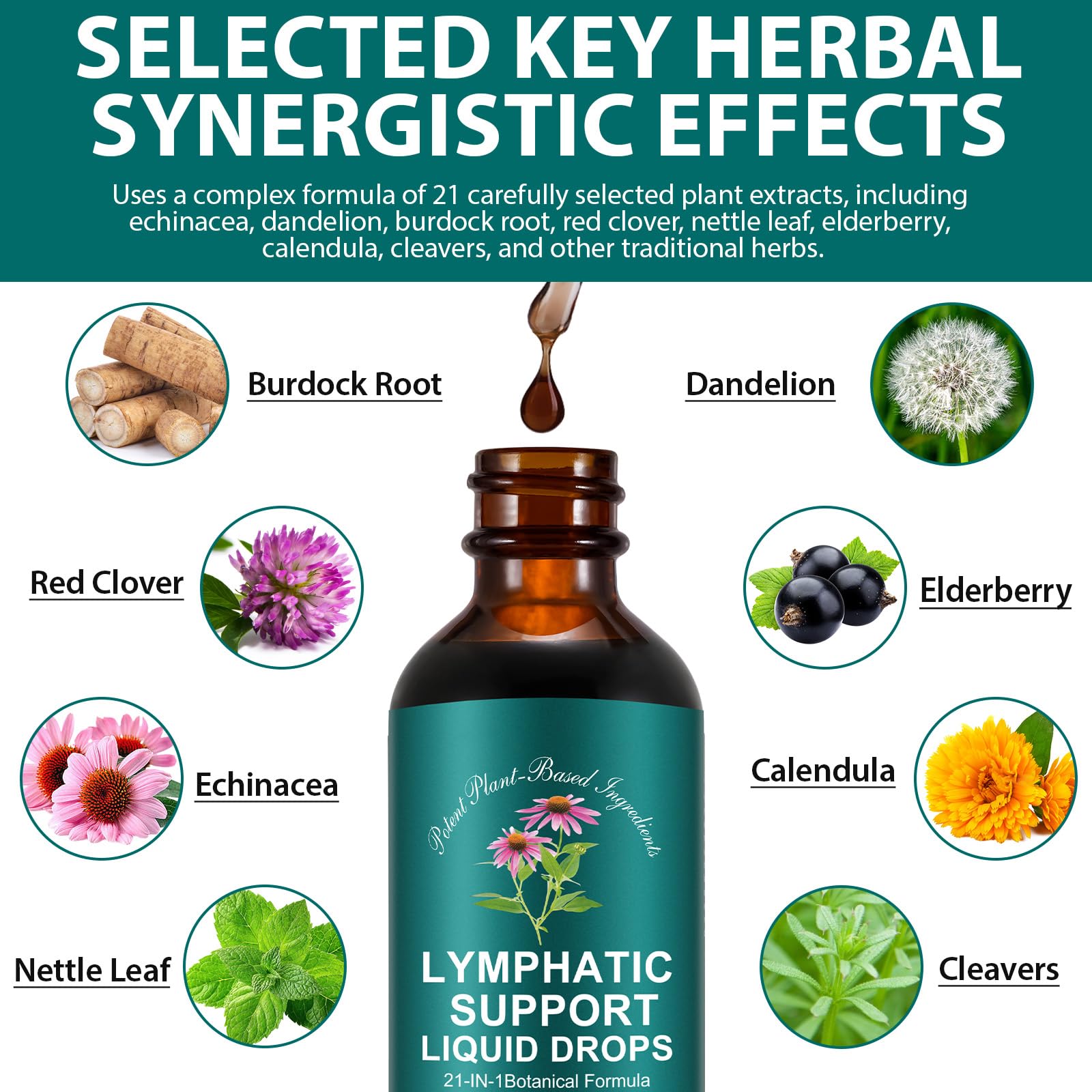 Lymphatic Drainage Drops, Natural Lymph Cleanse & Immune Support Supplement with Echinacea, Dandelion, Elderberry, Cleavers, Astragalus & Burdock, 2 FL OZ (1) - Maple Wellness Supplements