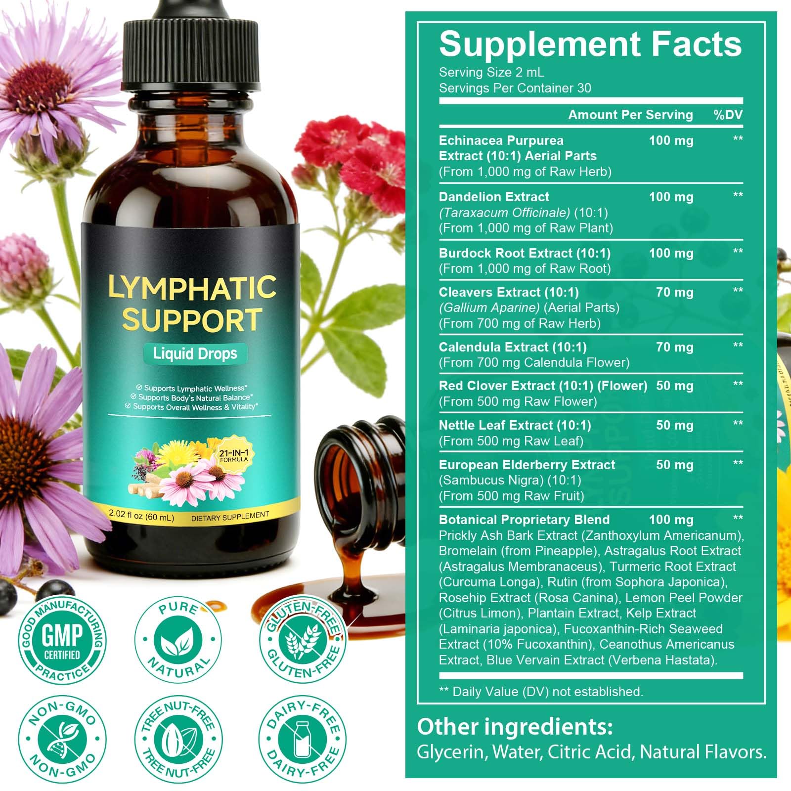 Lymphatic Drainage Drops, Support Supplement with Echinacea, Dandelion, Elderberry, Cleavers, Astragalus, Burdock & More, 2 FL OZ - Natural Lymphatic Cleanse & Immune Support - Maple Wellness Supplements