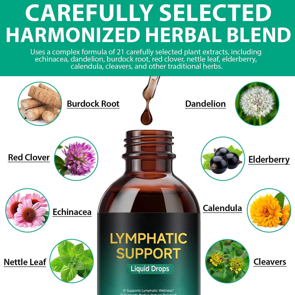 Lymphatic Drainage Drops, Support Supplement with Echinacea, Dandelion, Elderberry, Cleavers, Astragalus, Burdock & More, 2 FL OZ - Natural Lymphatic Cleanse & Immune Support - Maple Wellness Supplements