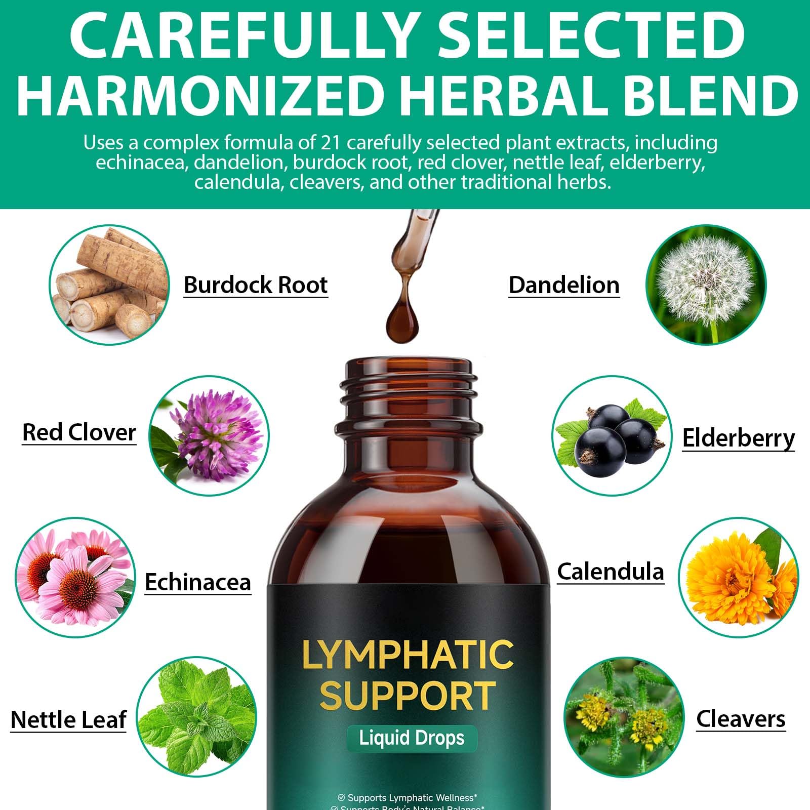 Lymphatic Drainage Drops, Support Supplement with Echinacea, Dandelion, Elderberry, Cleavers, Astragalus, Burdock & More, 2 FL OZ - Natural Lymphatic Cleanse & Immune Support - Maple Wellness Supplements