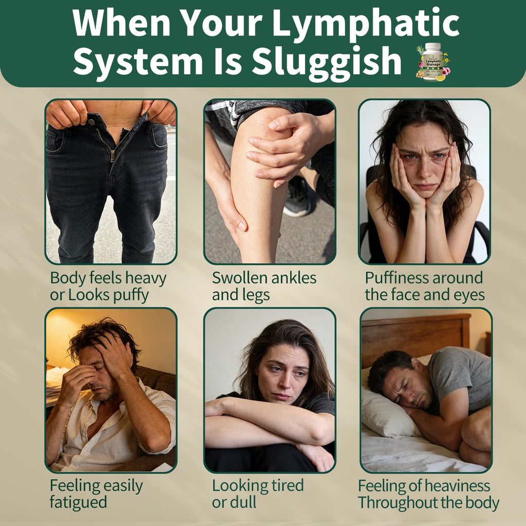 Lymphatic Drainage Supplement – Natural Herbal Formula with Dandelion, Burdock & Echinacea, Supports Fluid Balance, Immune Health & Cellulite Reduction – 60 Capsules - Maple Wellness Supplements