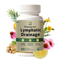 Lymphatic Drainage Supplement – Natural Herbal Formula with Dandelion, Burdock & Echinacea, Supports Fluid Balance, Immune Health & Cellulite Reduction – 60 Capsules - Maple Wellness Supplements