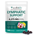 Lymphatic Drainage Supplements, 4275mg Lymph System Support for Women & Men, Herbal Lymphatic Complex with Dandelion, Burdock, Echinacea, Cleavers, Turmeric & Bromelain for Fluid Balance, 240 Capsules - Maple Wellness Supplements
