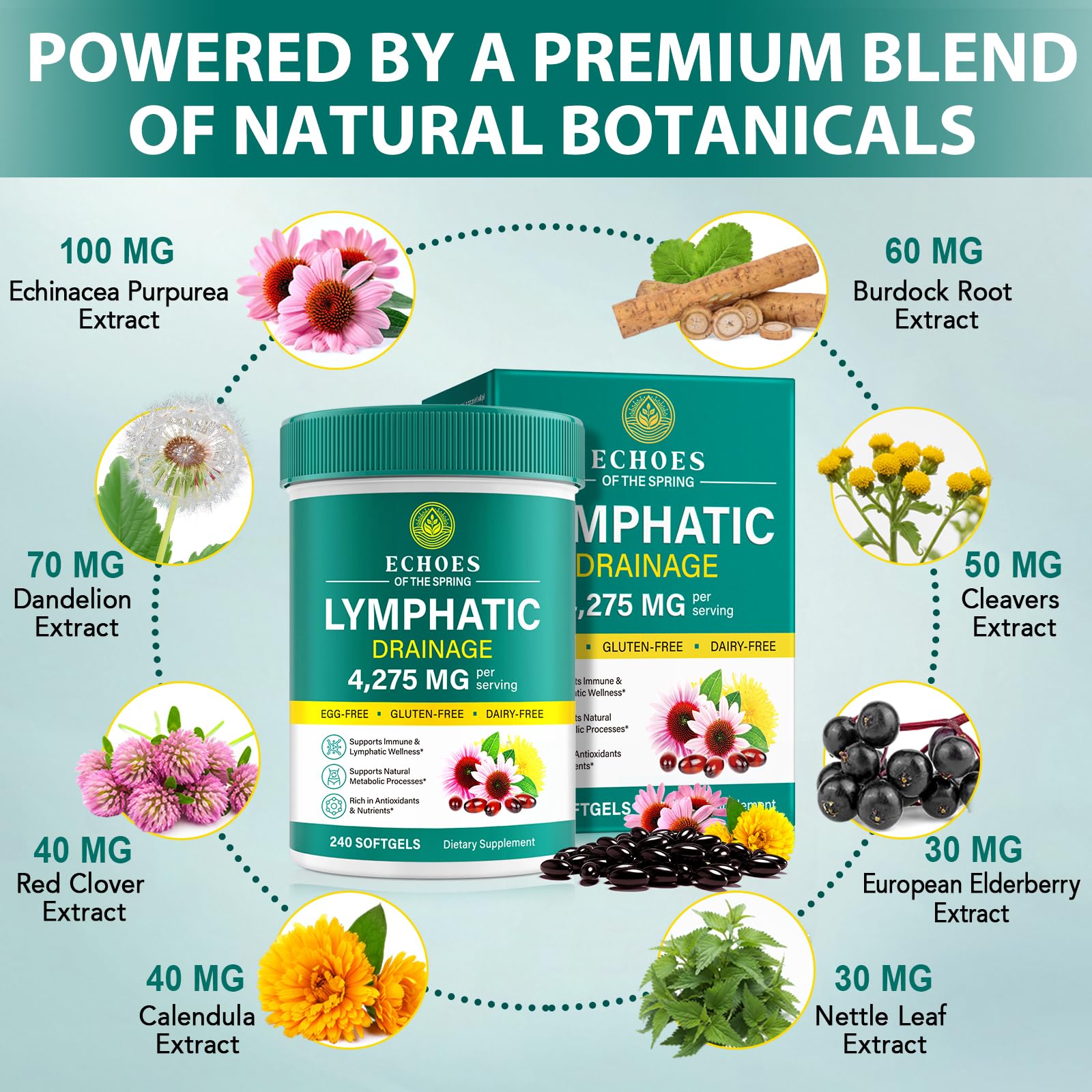 Lymphatic Drainage Supplements, 4275mg Lymph System Support Supplement for Women & Men, Daily Wellness Support, 21-in-1 Herbal Blend with Echinacea, Dandelion, Burdock, Turmeric & More, 240 Softgels - TrustMedUSA