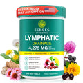 Lymphatic Drainage Supplements, 4275mg Lymph System Support Supplement for Women & Men, Daily Wellness Support, 21-in-1 Herbal Blend with Echinacea, Dandelion, Burdock, Turmeric & More, 240 Softgels - Maple Wellness Supplements