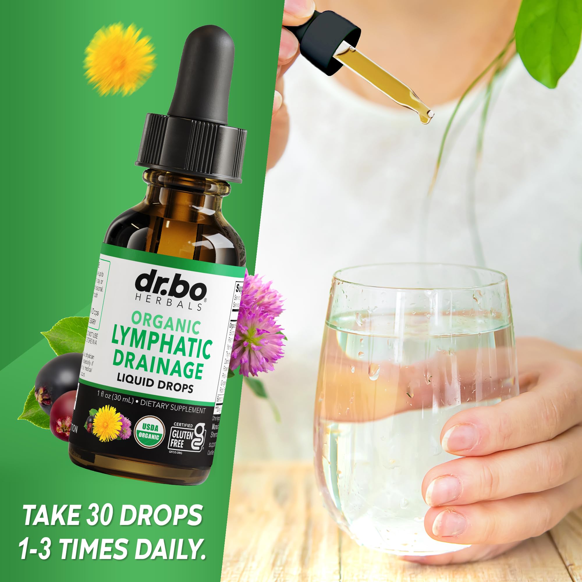 Lymphatic Drainage Supplements Drops - Organic Lymphatic Support Liquid Drops Cleanse with Echinacea, Lymph System Support Supplement, Lymph Node Detox Cleanse System Drainage - 1oz Non-GMO Organics - Maple Wellness Supplements