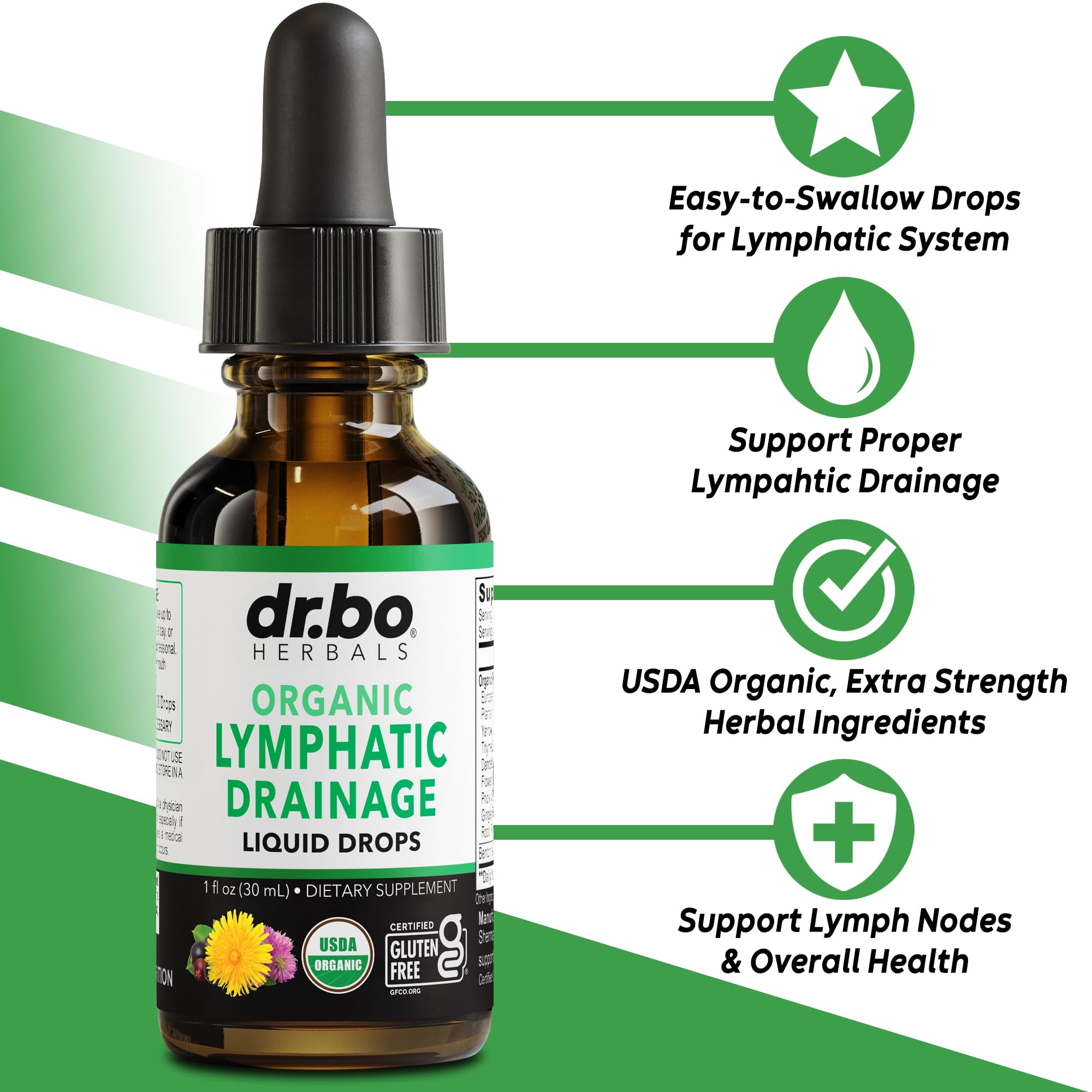 Lymphatic Drainage Supplements Drops - Organic Lymphatic Support Liquid Drops Cleanse with Echinacea, Lymph System Support Supplement, Lymph Node Detox Cleanse System Drainage - 1oz Non-GMO Organics - Maple Wellness Supplements