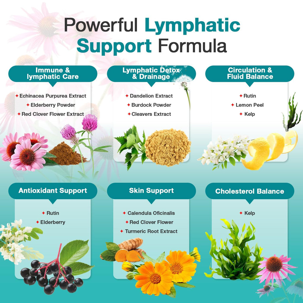Lymphatic Drainage Supplements - Lymphatic System Support, Fluid Balance, Immune Support - Natural Lymphatic Cleanse & Detox Capsules with Dandelion, Echinacea, Burdock & More, 90 Capsules - Maple Wellness Supplements