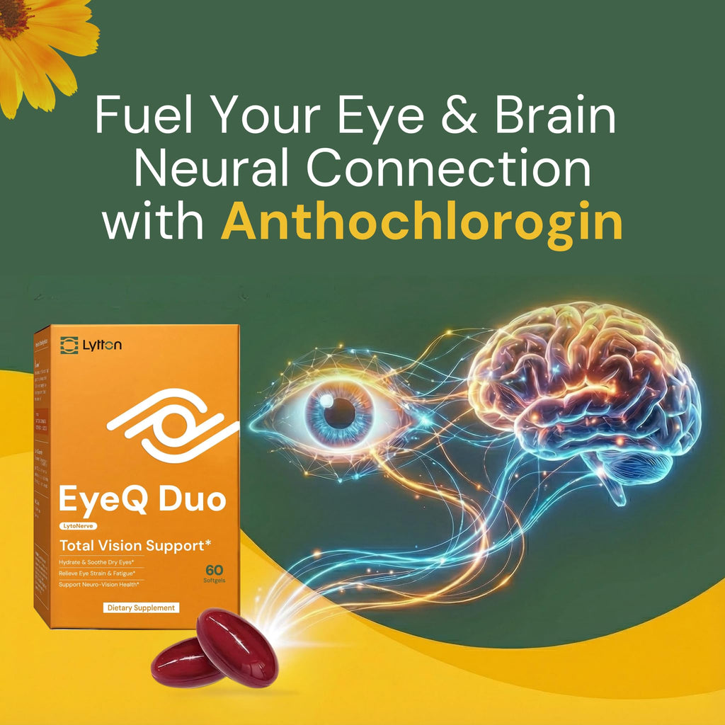 LYTTON EyeQ Duo Digital Eye & Focus Support – Patented Anthochlorogin for Brain-Eye Connection, Promotes Ocular Vitality – Rapid Visual Comfort & Natural Formula for Screen Users, 60 Softgels - TrustMedUSA