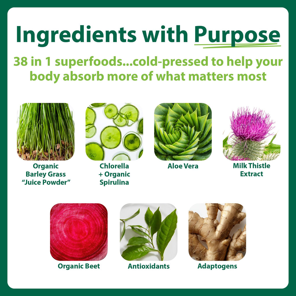 MacroLife Naturals Macro Greens Superfood Powder – 38 Superfoods with Probiotics, Digestive Enzymes & Adaptogens | Non GMO, Vegan, Gluten Free | 18B CFU | 10 oz (30 Servings) - TrustMedUSA