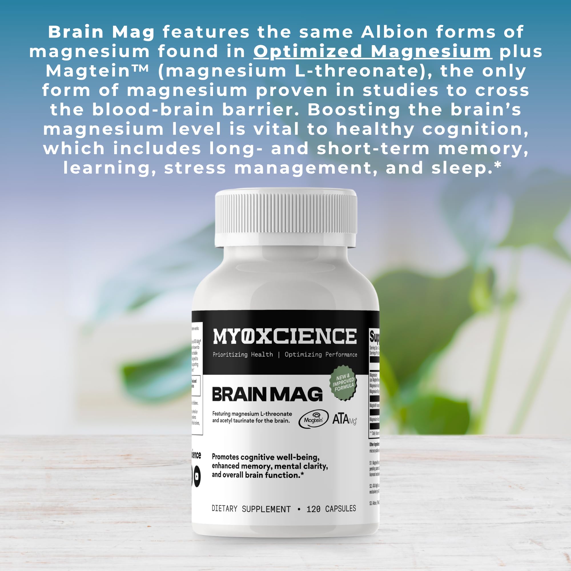 Magnesium L-Threonate + Mag Acetyl-Taurate (ATA Mag) + Mag Glycinate | Promotes Cognitive Well-Being, Enhanced Memory, Mental Clarity and Overall Brain Function | 120 Capsules - Maple Wellness Supplements