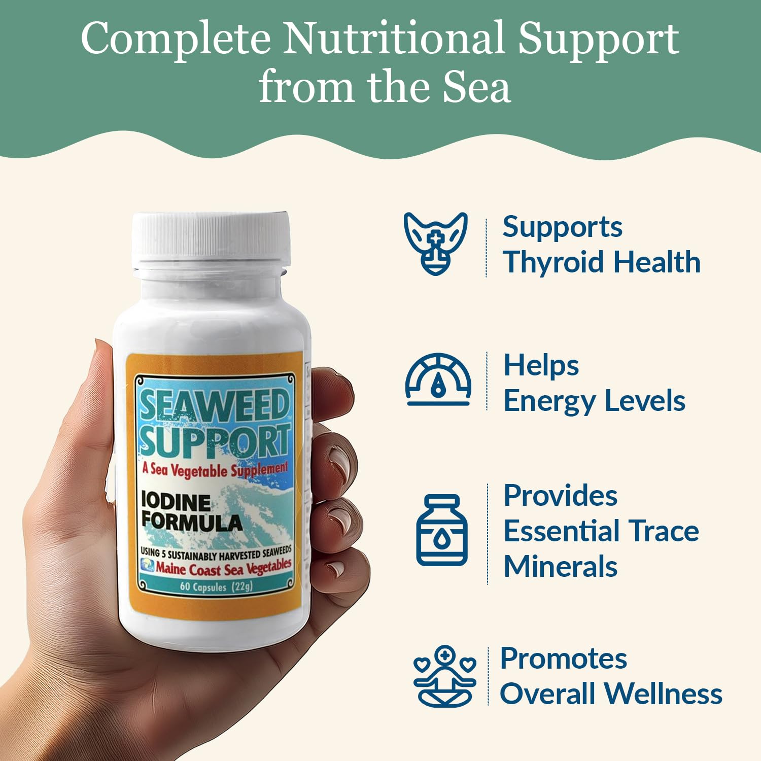 Maine Coast Sea Vegetables Seaweed Support Iodine Formula | Source of Iodine from Seaweed | Daily Use Iodine Supplement | Organic Alaria, Rockweed, Sea Lettuce, Dulse & Bladderwrack blend | 60 Capsule - TrustMedUSA
