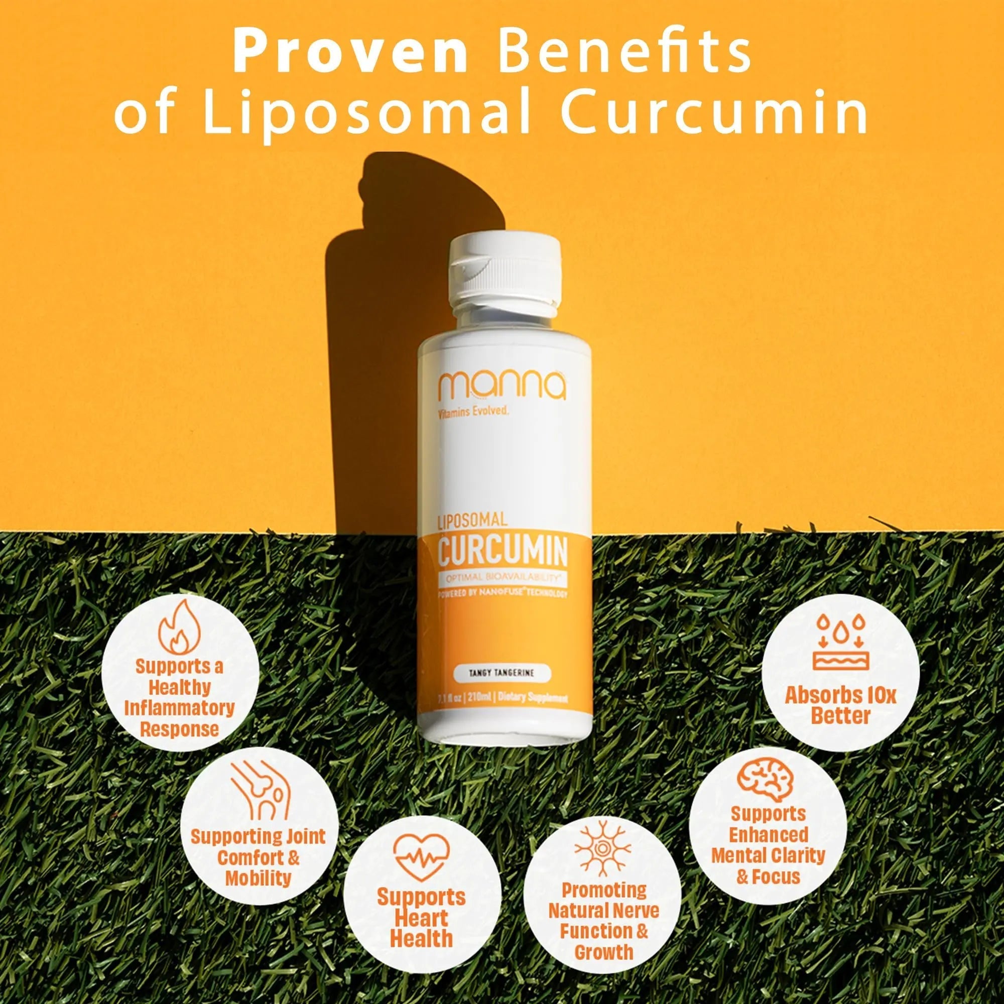 Manna Vitamins Evolved Liposomal Liquid Curcumin for Advanced Absorption Best Turmeric Supplement for Daily Joint & Immune Health Support - Vegan, Non-GMO, 95% Curcuminoids (1 Pack) - TrustMedUSA