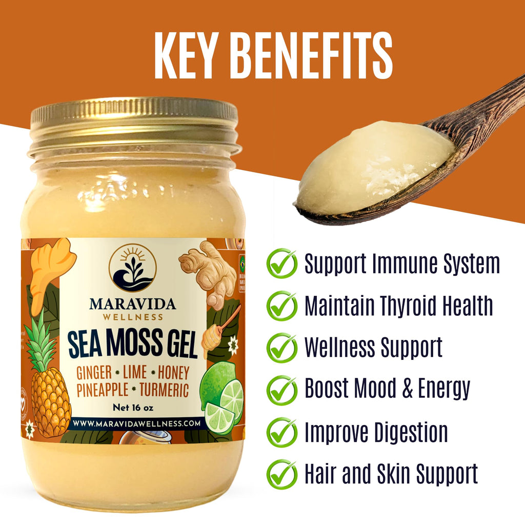 Maravida Wellness Sea Moss Gel – Pineapple, Lime, Honey, Ginger & Turmeric – 100% Natural Raw Organic Irish Moss – 16oz Jar – Premium Superfood for Everyday Wellness - TrustMedUSA