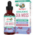 MaryRuth Organics Irish Sea Moss Liquid Drops | Chondrus Crispus | Wild Harvested | Organic Irish Moss Formulated for Adults & Kids Ages 14+ | Unflavored | Sugar Free | Vegan | Non-GMO | 1 Fl Oz - TrustMedUSA