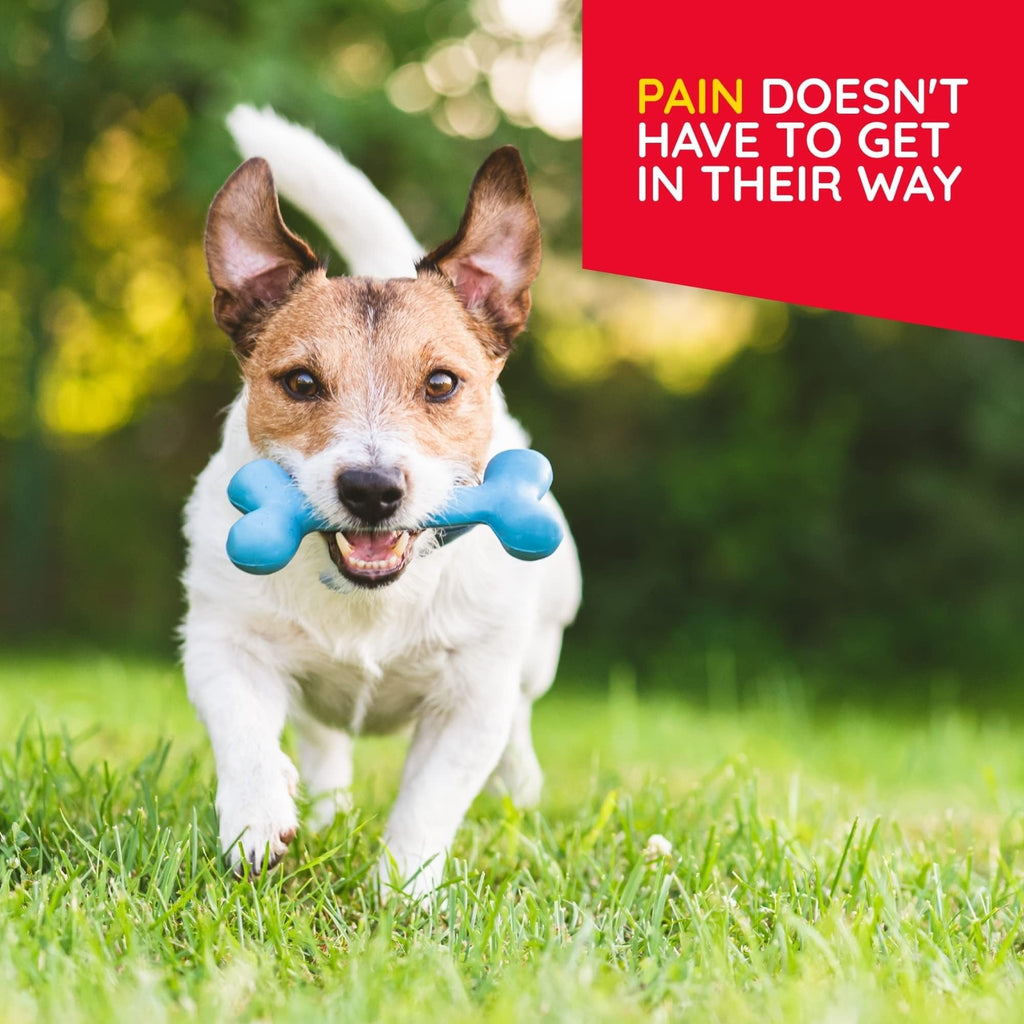 MediNatura Plant-Powered Pet Pain Relief Bundle T-Relief Pet Pain Tablets (90) + T-Relief Pet Arthritis (90) 12 Plant-Based Homeopathic Pain Relievers with Arnica - Support for Muscles, Joints + HIPS - TrustMedUSA