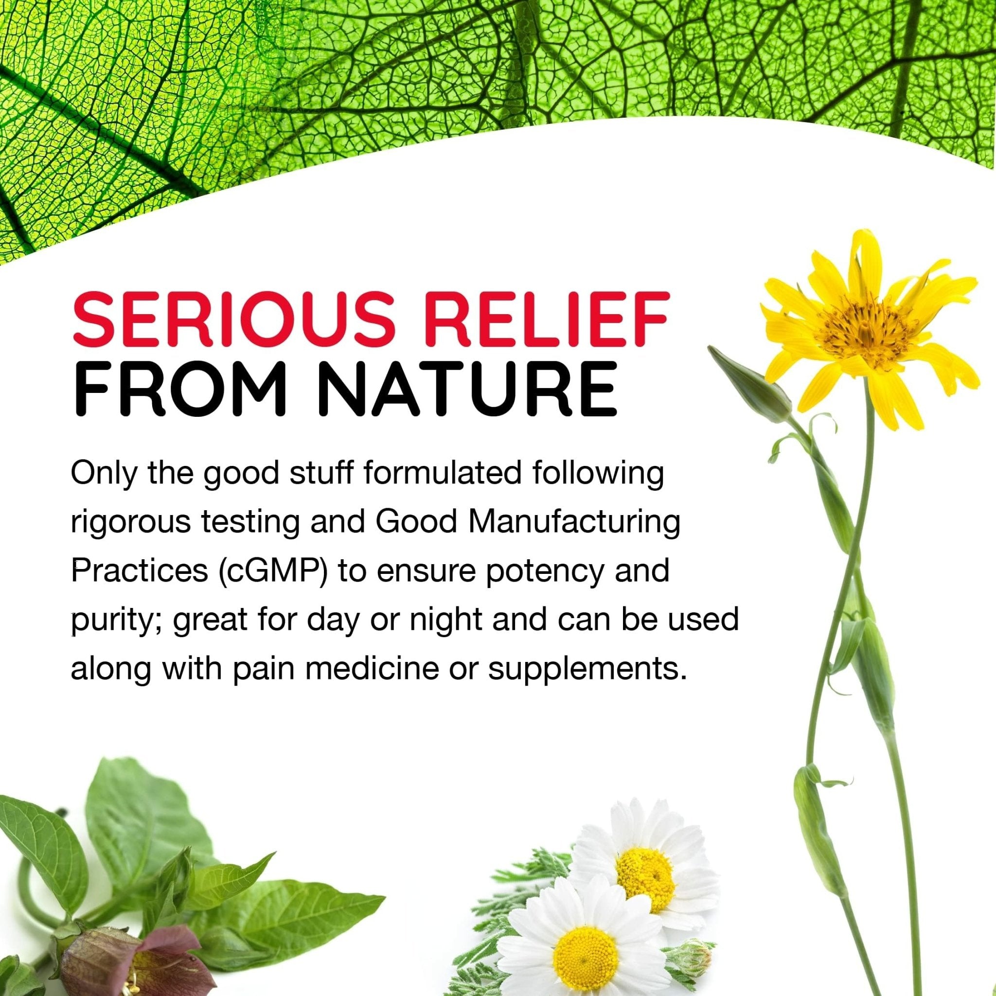 MediNatura T-Relief Pain - Arnica Medication for Naturally Soothing Body Aches - Supports Muscle, Joint & Back Relief - Chewable Tablets - Plant-Based Tablets - Non-Addictive - 100 Count - 2 Pack - TrustMedUSA