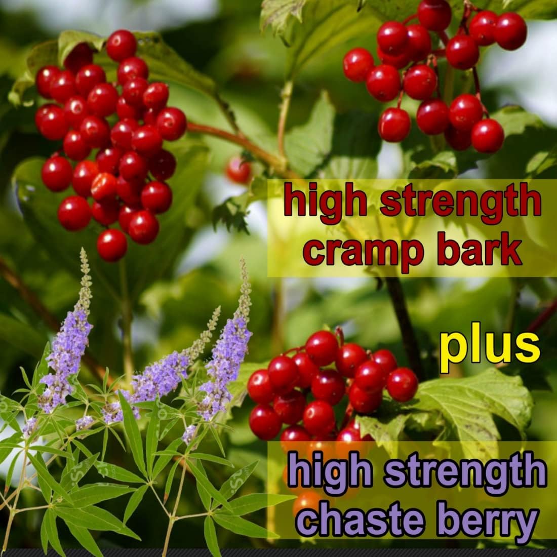 Menstrual Cramp Period Gummies True Roots | PMS Support Supplement for Women | Healthy Flow | Flo PMS Menstrual Cycle Relief, Cramping and Bloating | Vegan & Natural Flavors | 60 Count - TrustMedUSA