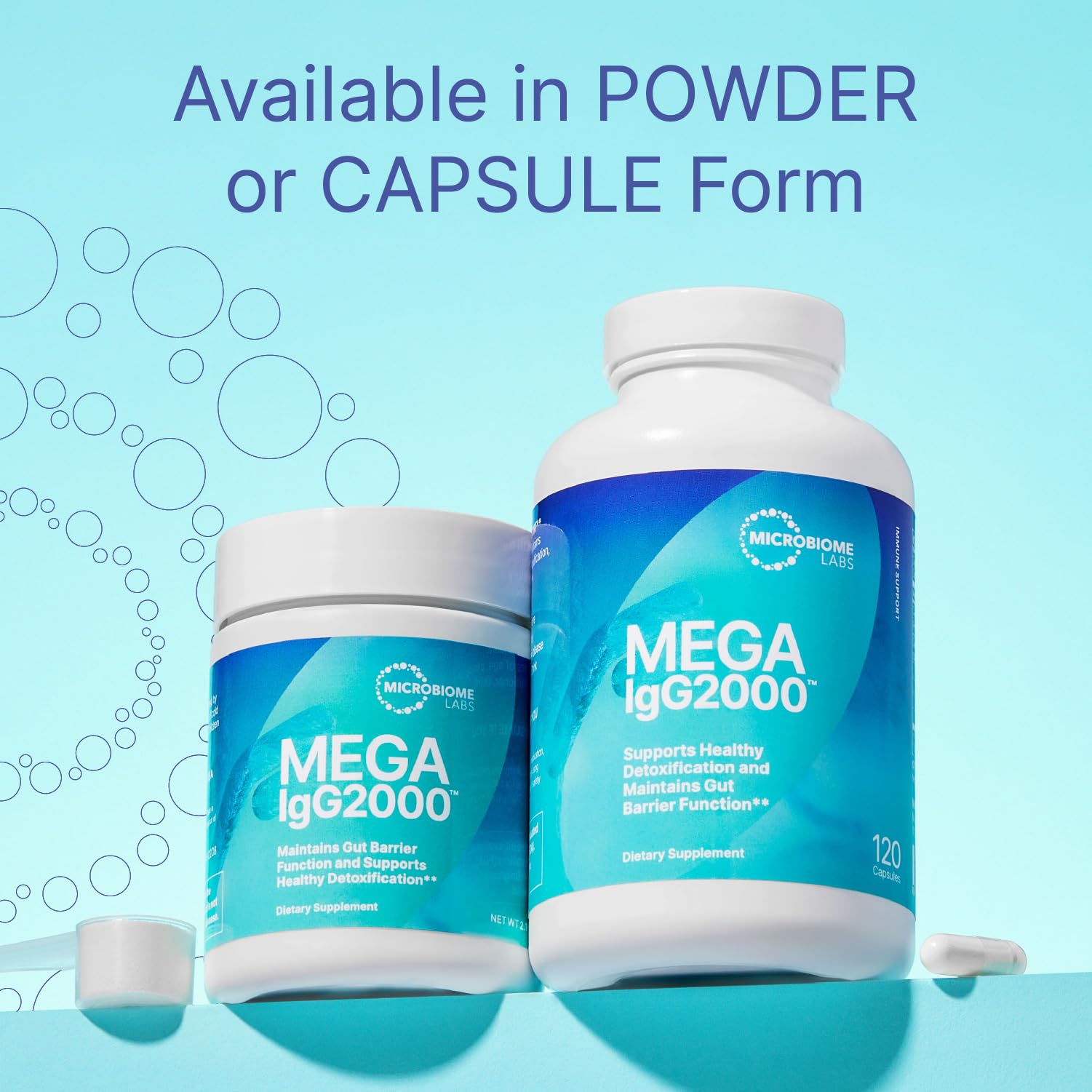 Microbiome Labs Mega IgG2000 Capsules - Dairy Free Bovine Colostrum Supplement Alternative - Immunoglobulin Supplement from Bovine Serum to Support Digestive Health (120 Capsules) - Maple Wellness Supplements