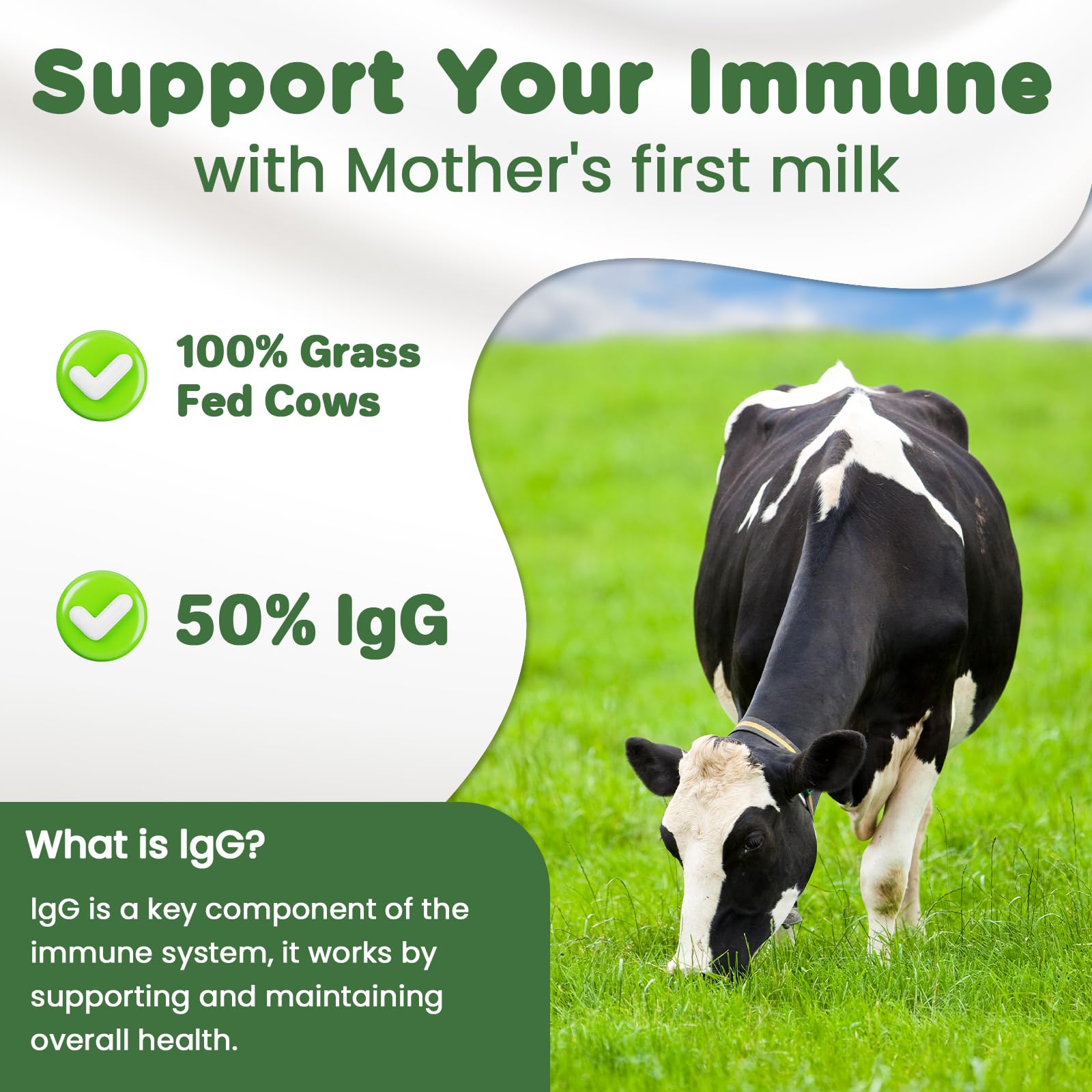 MICYDELAS Bovine Colostrum Supplement Powder 50% IgG Premium Bovine Colostrum for Gut Health Support, Immune Support, Muscle Recovery & Overall Wellness, Grass Fed, Non-GMO, Unflavored, 60 Servings - TrustMedUSA