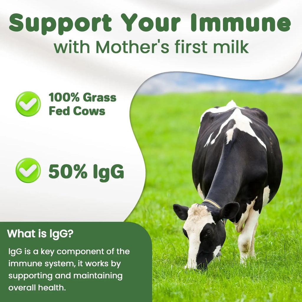 MICYDELAS Bovine Colostrum Supplement Powder 50% IgG Premium Bovine Colostrum for Gut Health Support, Immune Support, Muscle Recovery & Overall Wellness, Grass Fed, Non-GMO, Unflavored, 60 Servings - TrustMedUSA