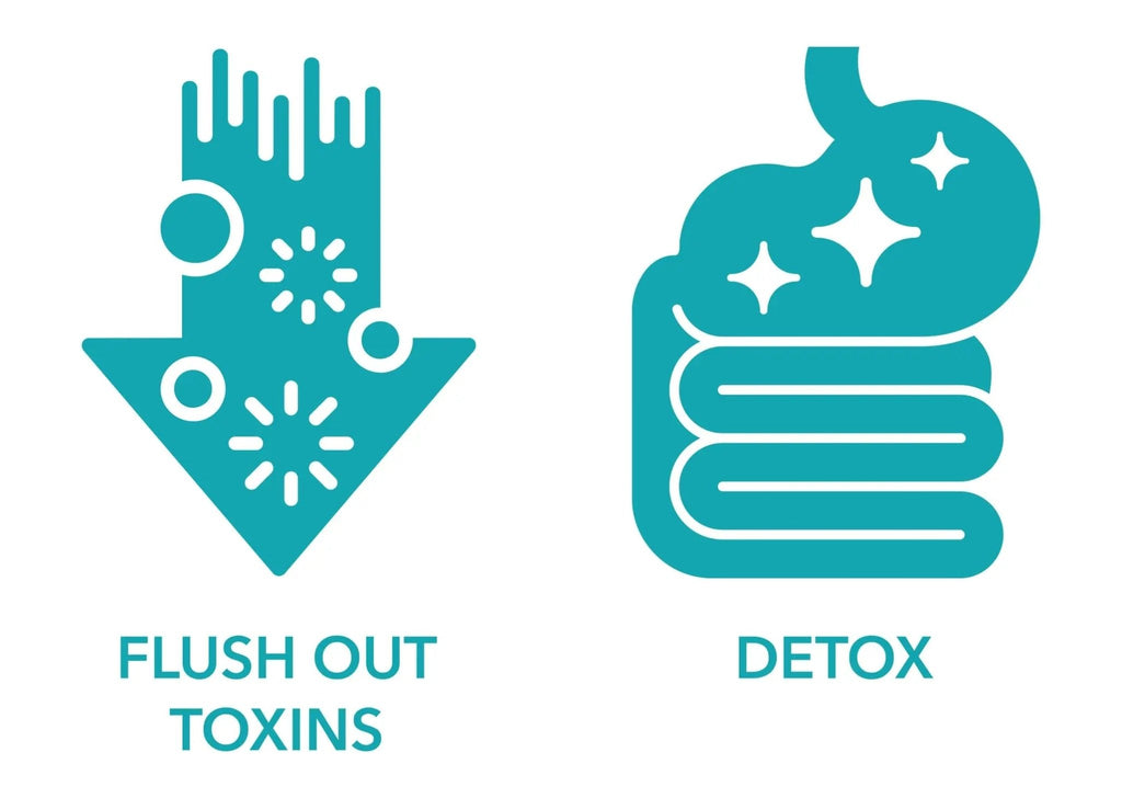 Milamiamor 15 Day Cleanse - Gut and Colon Support | Advanced Gut Cleanse Detox - TrustMedUSA