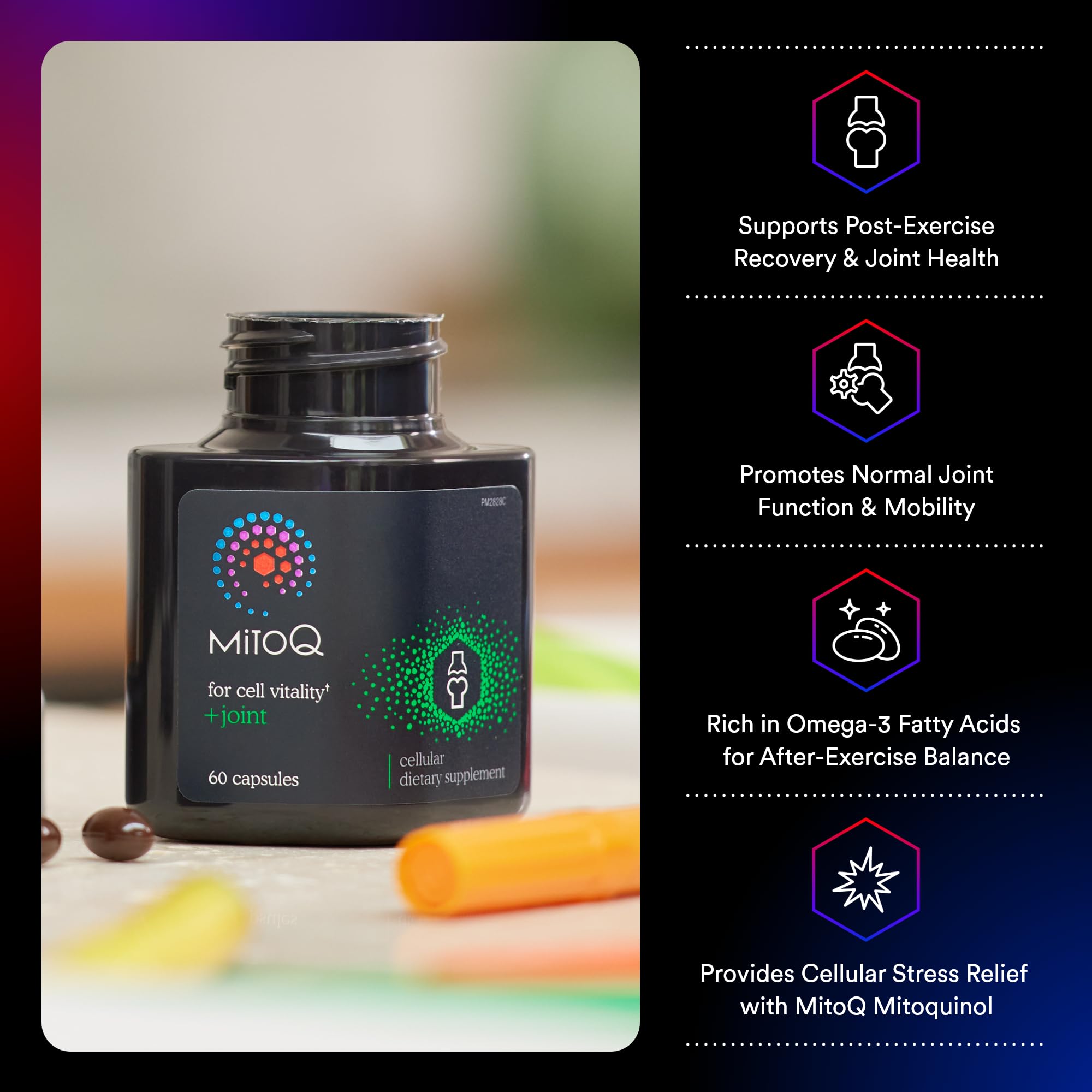 MitoQ +Joint Advanced CoQ10 Antioxidant Supplement - Contains Mitoquinol Mesylate & Green Lipped Mussel Omega Oil Extract - Supports Healthy Joint, Mobility and Cell Vitality (60 Softgel Capsules) - TrustMedUSA