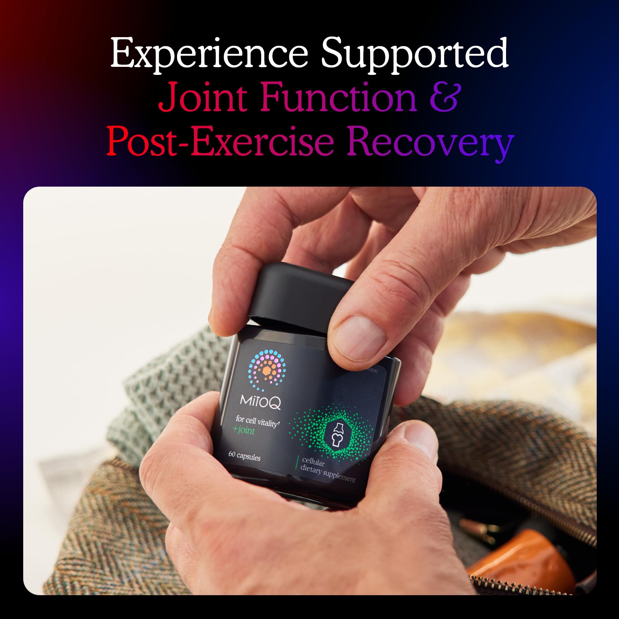 MitoQ +Joint Advanced CoQ10 Antioxidant Supplement - Contains Mitoquinol Mesylate & Green Lipped Mussel Omega Oil Extract - Supports Healthy Joint, Mobility and Cell Vitality (60 Softgel Capsules) - TrustMedUSA