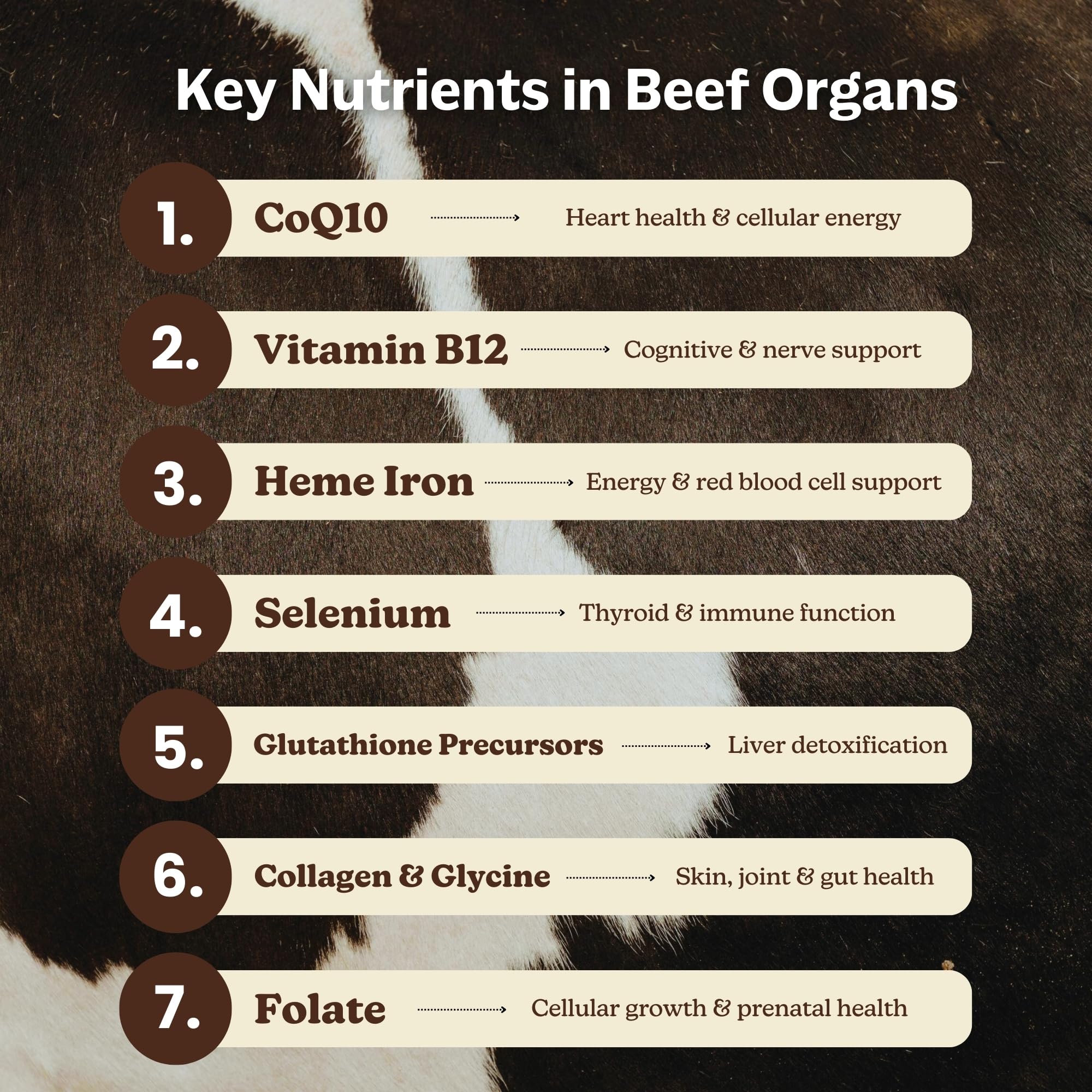 MK Supplements Grass-Fed Beef Organs Capsules | 5 Organs in Nature-Identical Ratios | B12, Copper & Heme Iron | Regeneratively Raised | 150 Capsules - TrustMedUSA