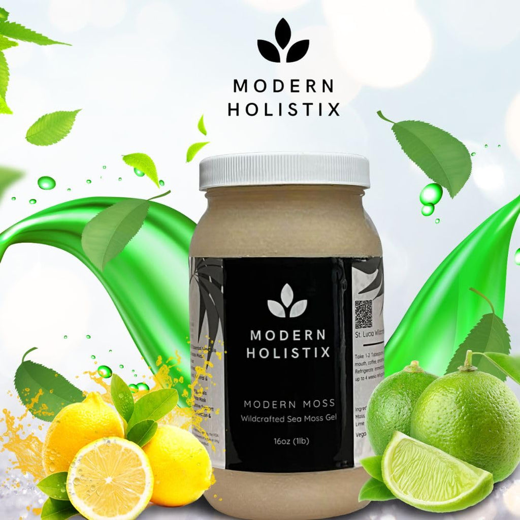 Modern Holistix Original Sea Moss Gel – 32oz Jar | Wildcrafted | All-Natural Superfood for Immunity, Energy & Gut Health - TrustMedUSA
