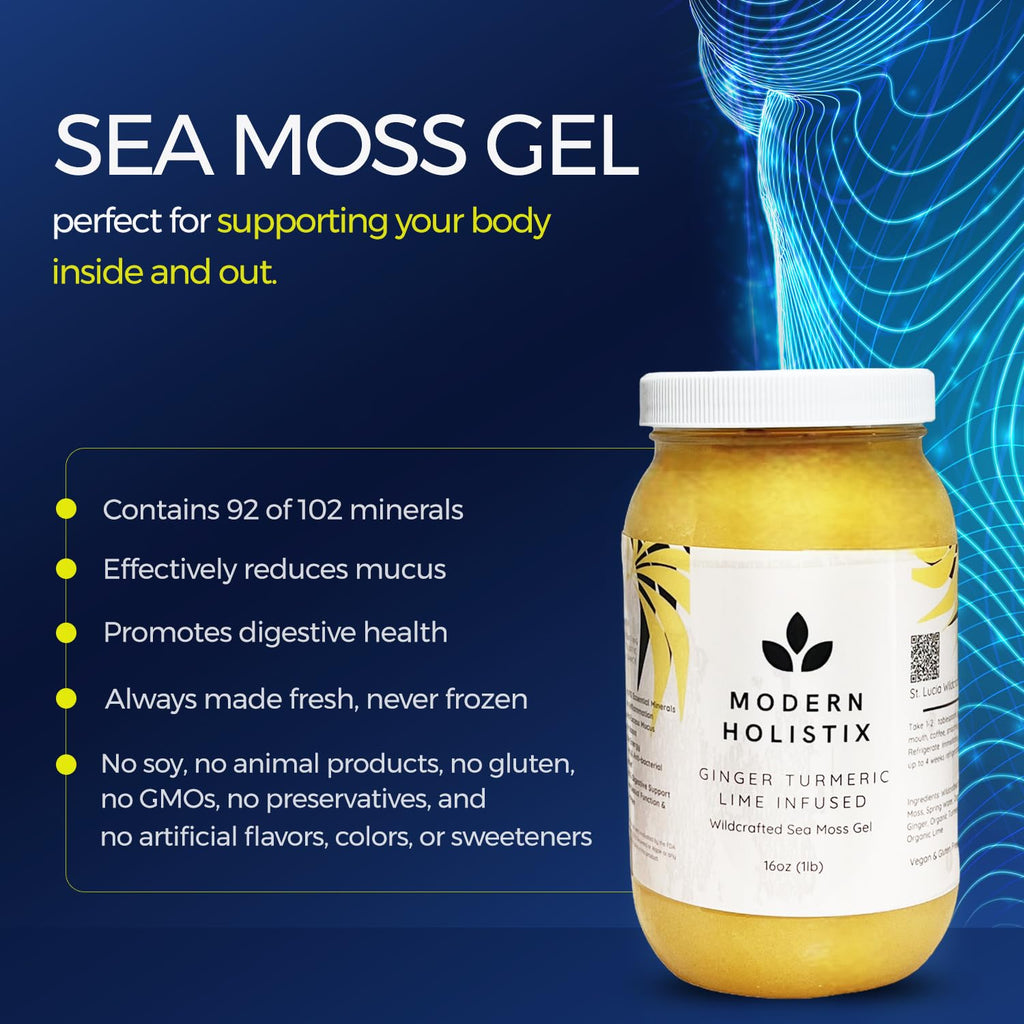 Modern Holistix Original Sea Moss Gel – 32oz Jar | Wildcrafted | All-Natural Superfood for Immunity, Energy & Gut Health - TrustMedUSA