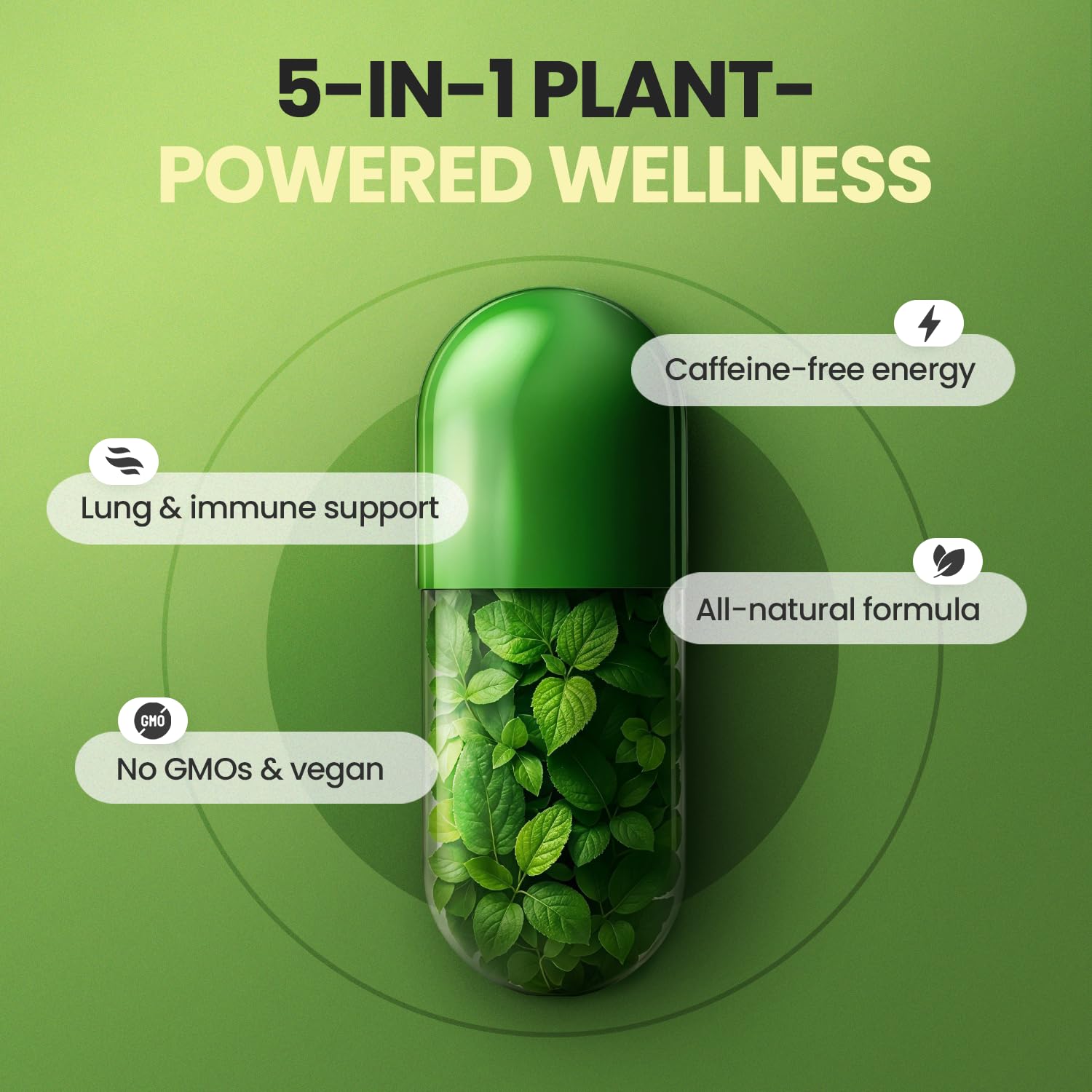 Moringa Capsules, Beet Root, Mullein Leaf - Energy, Skin, Immune Supplement Superfood, Rich in Antioxidants, Minerals & Essential Vitamins - High Absorption Non-GMO - Made in USA - 60ct - TrustMedUSA