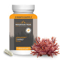 Mountain Peak Nutritionals Osteo Supplement - Organ & Strong Bone Support, Promotes Bone Health - With Vitamins D3, K2, Calcium, and Magnesium - Bone Building & Strengthening (240 Vegetarian Capsules) - TrustMedUSA