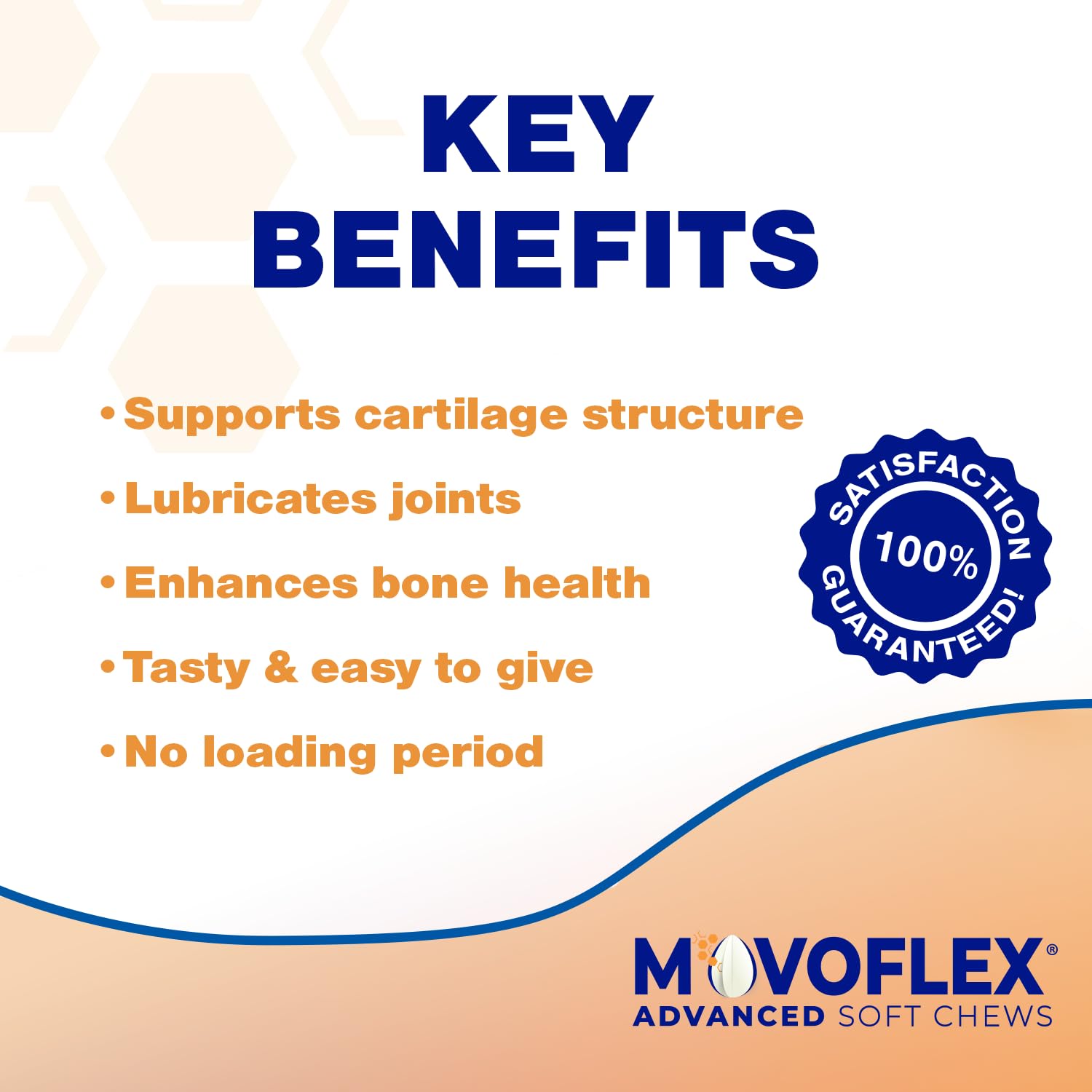 MOVOFLEX Advanced Soft Chews Hip Joint Support Supplement for Large Dogs 60 Count by Virbac - TrustMedUSA