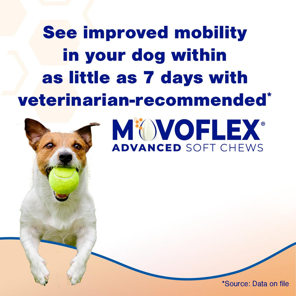 MOVOFLEX Advanced Soft Chews Hip Joint Support Supplement for Large Dogs 60 Count by Virbac - TrustMedUSA