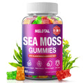 MSLOTAL Irish Sea Moss Gummies with Ashwagandha Bladderwrack and Burdock Root - Natural Irish Seamoss Supplement for Thyroid, Energy, Immune Support - 60 Vegan Gummy - TrustMedUSA
