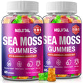 MSLOTAL Irish Sea Moss Gummies with Black Seed Oil, Ashwagandha Bladderwrack and Burdock Root, Organic Sea Moss Gummies for Women and Men with Shilajit, Immune Support, Vegan, 120 Gummies Totalss - TrustMedUSA