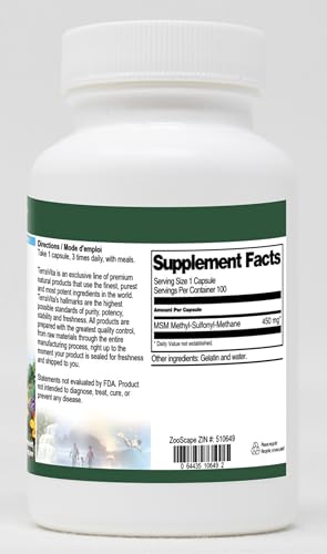 MSM - 450 mg (100 Capsules, ZIN: 510649) - 3 Pack - TrustMedUSA