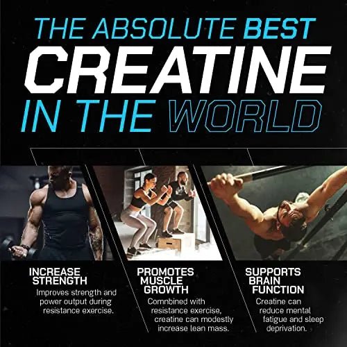 Muscle Feast Creapure Creatine Monohydrate Powder for Muscle Growth Nutritional - TrustMedUSA