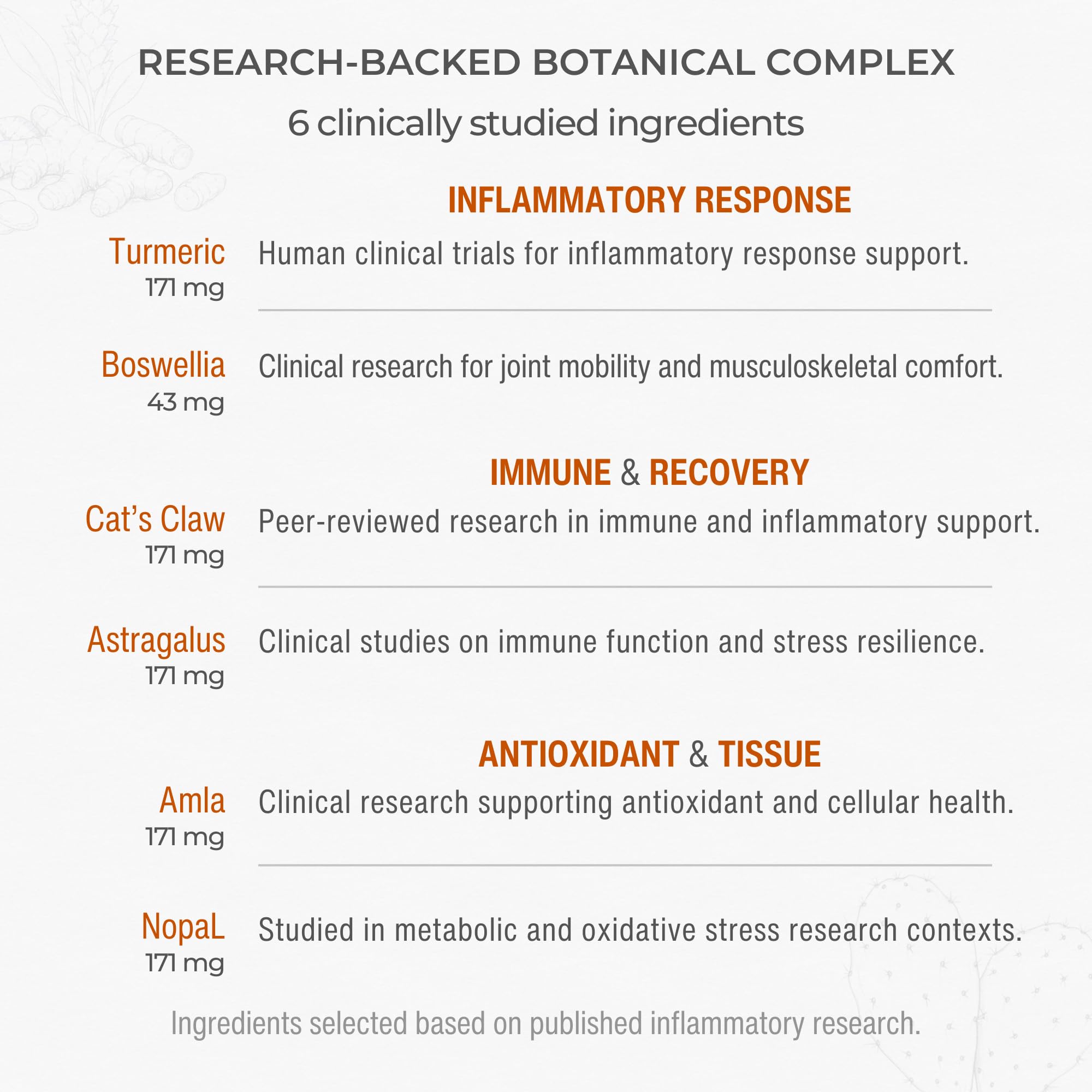 Muscle & Joint Support Supplement – Botanical Formula for Healthy Inflammatory Response | 6 Research-Backed Botanicals | Organic Turmeric | 60 Capsules | Sana Herbal - TrustMedUSA
