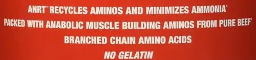 MuscleMeds Carnivor Beef Protein Isolate, 0 Lactose, 0 Sugar, 0 Fat, 0 Cholesterol - TrustMedUSA