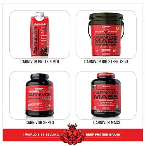 MuscleMeds, Carnivor Beef Protein Isolate Powder 56 Servings, Chocolate, 72 Ounce - TrustMedUSA