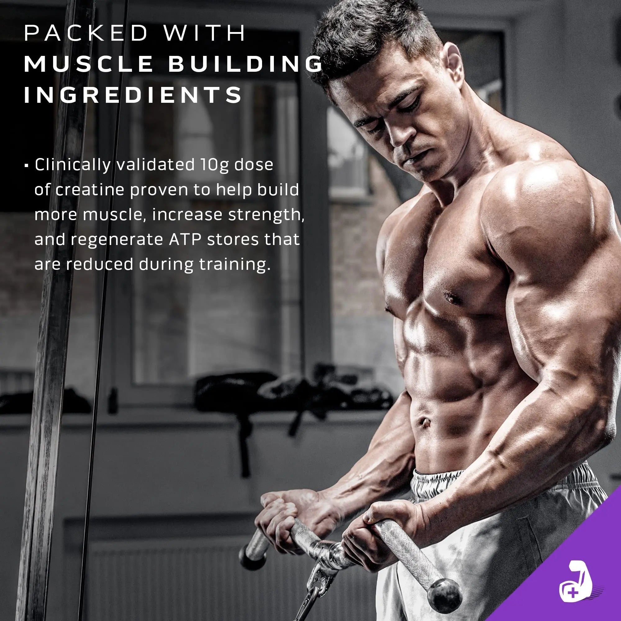 Muscletech Mass Gainer Mass-Tech Extreme 2000, Muscle Builder Whey Protein Powder - TrustMedUSA