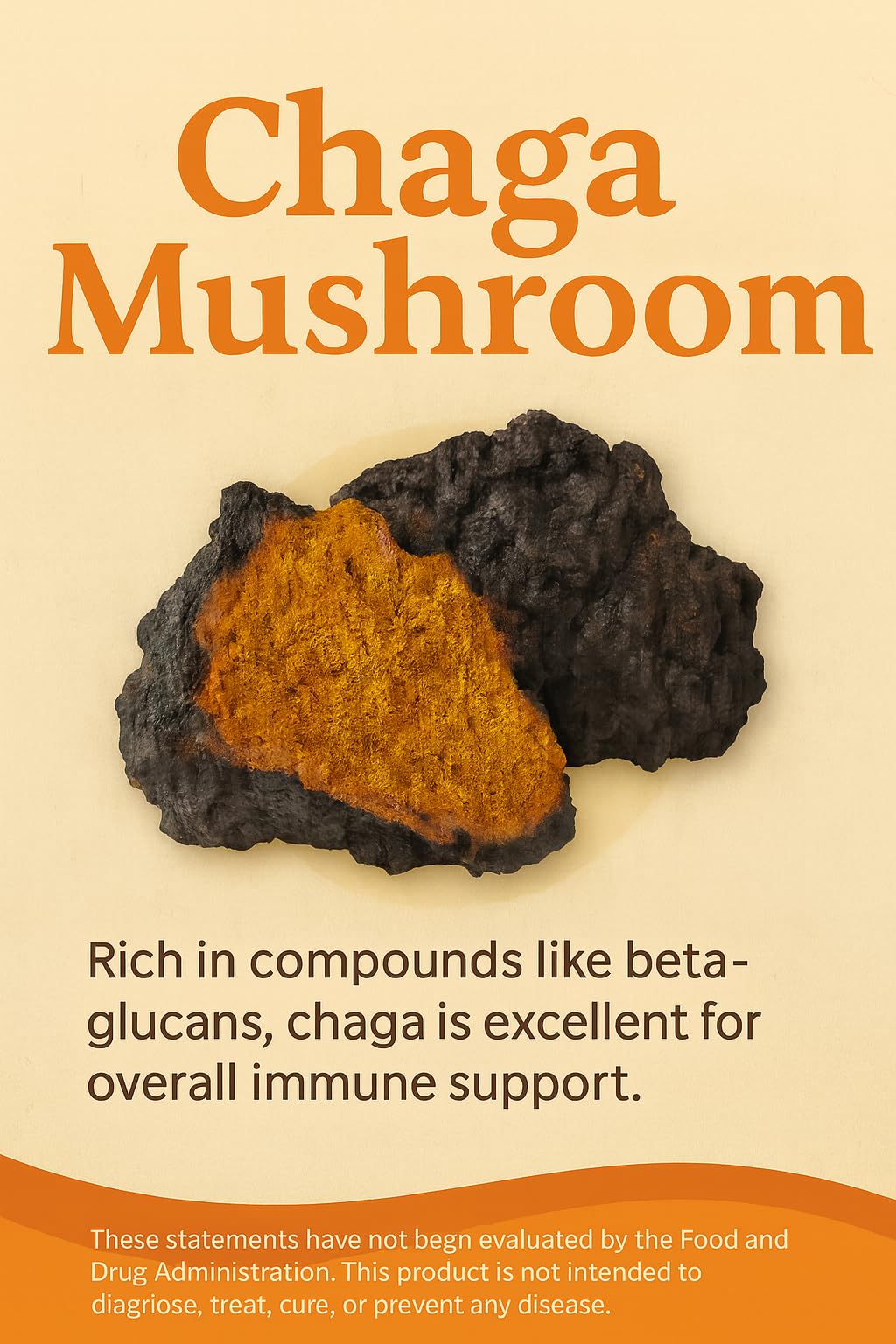 Mushroom Complex Capsules with Lion’s Mane, Reishi, Cordyceps, Chaga & Turkey Tail – True Totality Mushroom Power – Immune, Energy & Focus Support – 90 Vegan Capsules - TrustMedUSA